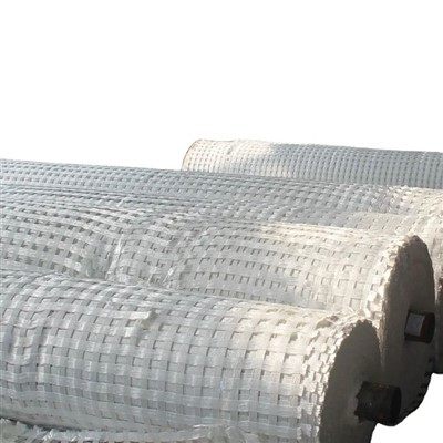 Geogrid soil stabilization