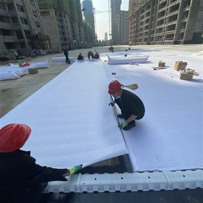 Composite Drainage Board