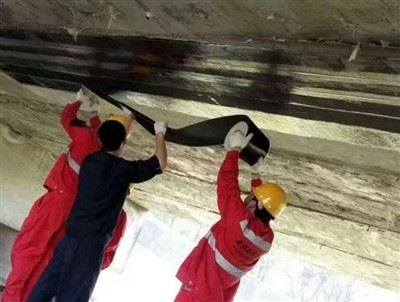 Carbon Fiber Reinforced Epoxy