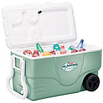 Cooler case