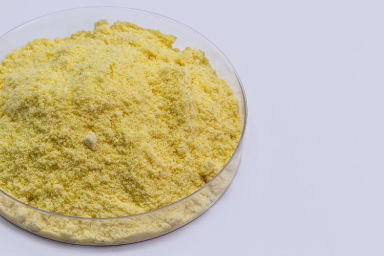 Botanical Scalp Care Ingredient Blend Supplier