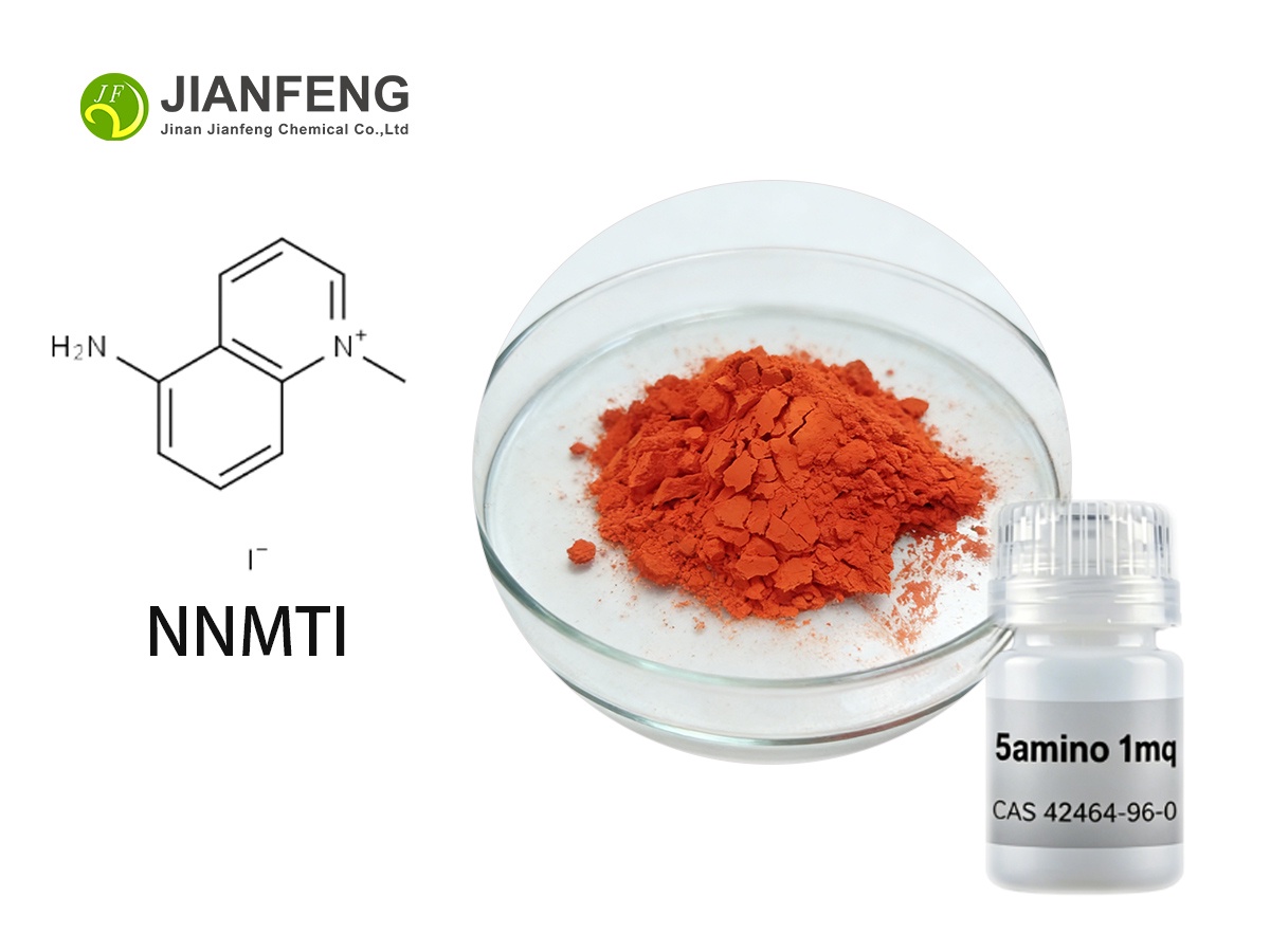 5 amino 1mq Powder