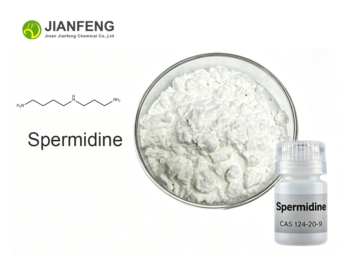 Spermidine Powder