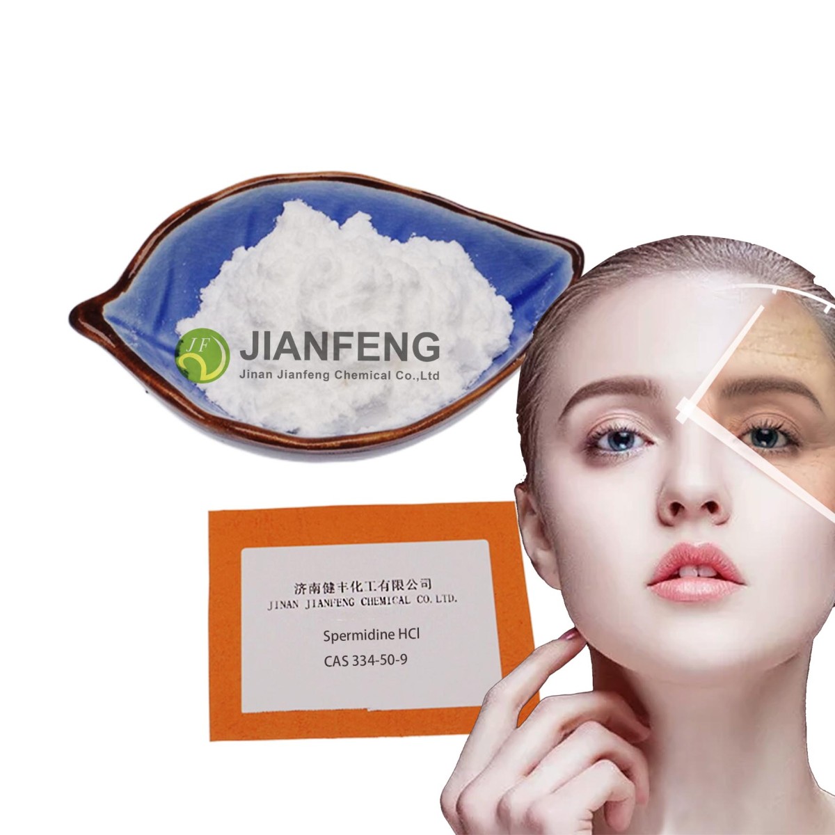 buy bulk Spermidine powder buy bulk Spermidine powder