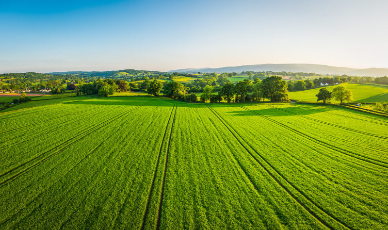 Some Information on Organic Farming