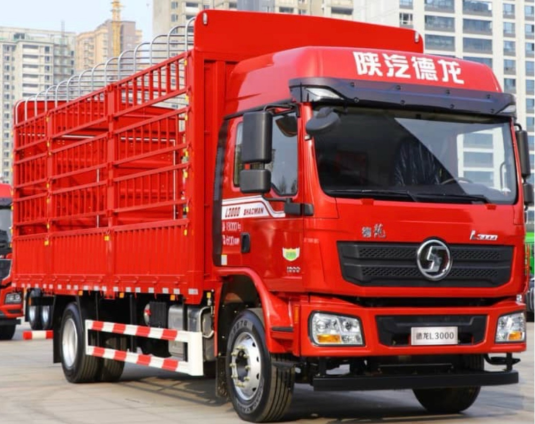 4_2 Cargo Truck