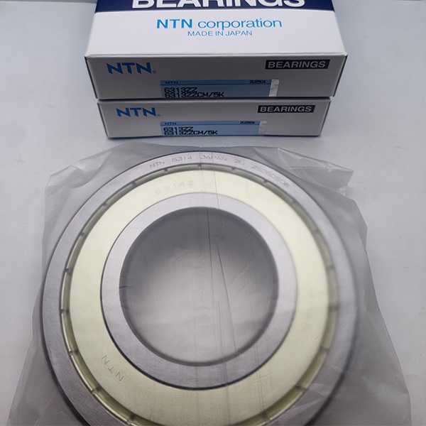 NTN-6313ZZCM-Deep Groove Ball Bearing