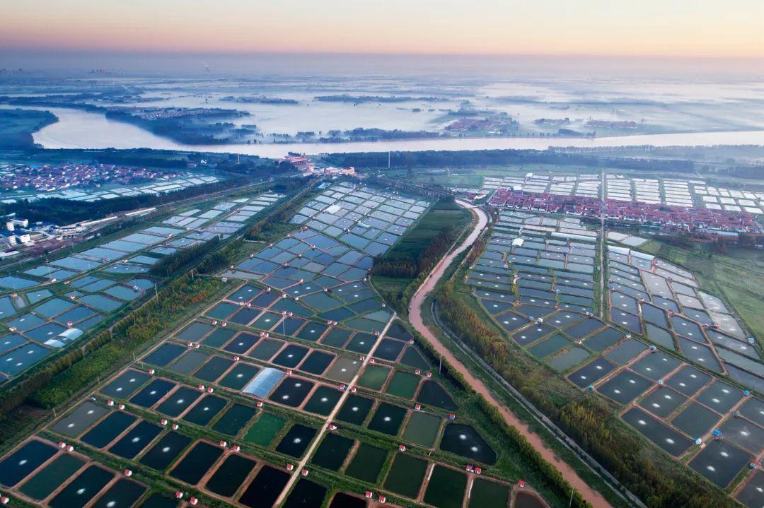 Application scenario 1 Tail water treatment for freshwater pond aquaculture