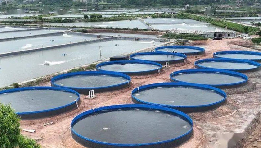 Application scenario 2 Ecological treatment of aquaculture effluent for pond engineering circulating water