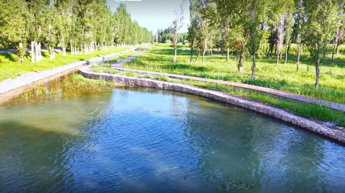 Application scenario 4 Ecological treatment of fishery aquaculture effluent in composite artificial wetland