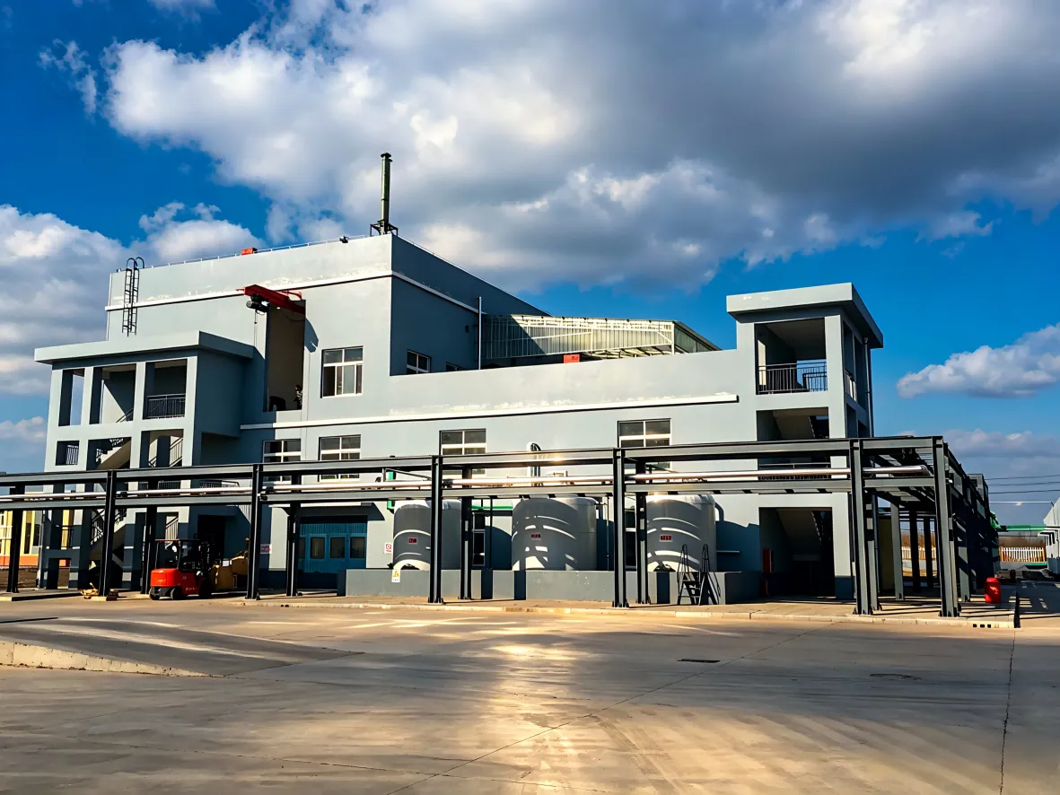 High Density Low Negative Pressure Chlorine Dioxide Preparation Project - Built in 2014, with a production capacity of 2 × 10 tons per day