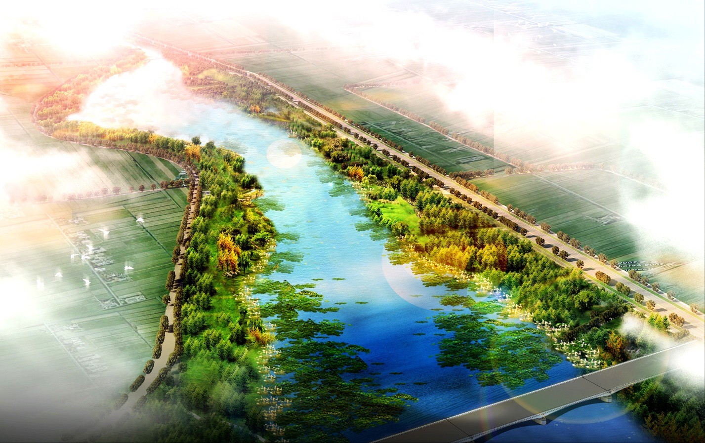 Artificial Wetland Planning and Construction