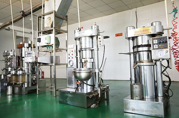 Our Workshop (7)