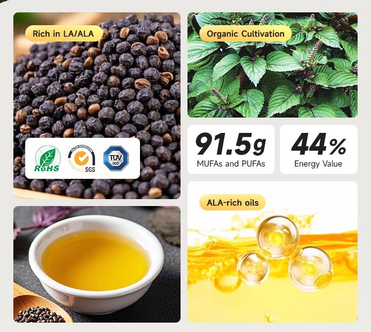 Perilla Seed Oil (2) Perilla Seed Oil (2)