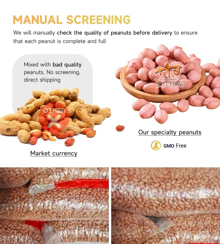 Peanut Kernel (3)