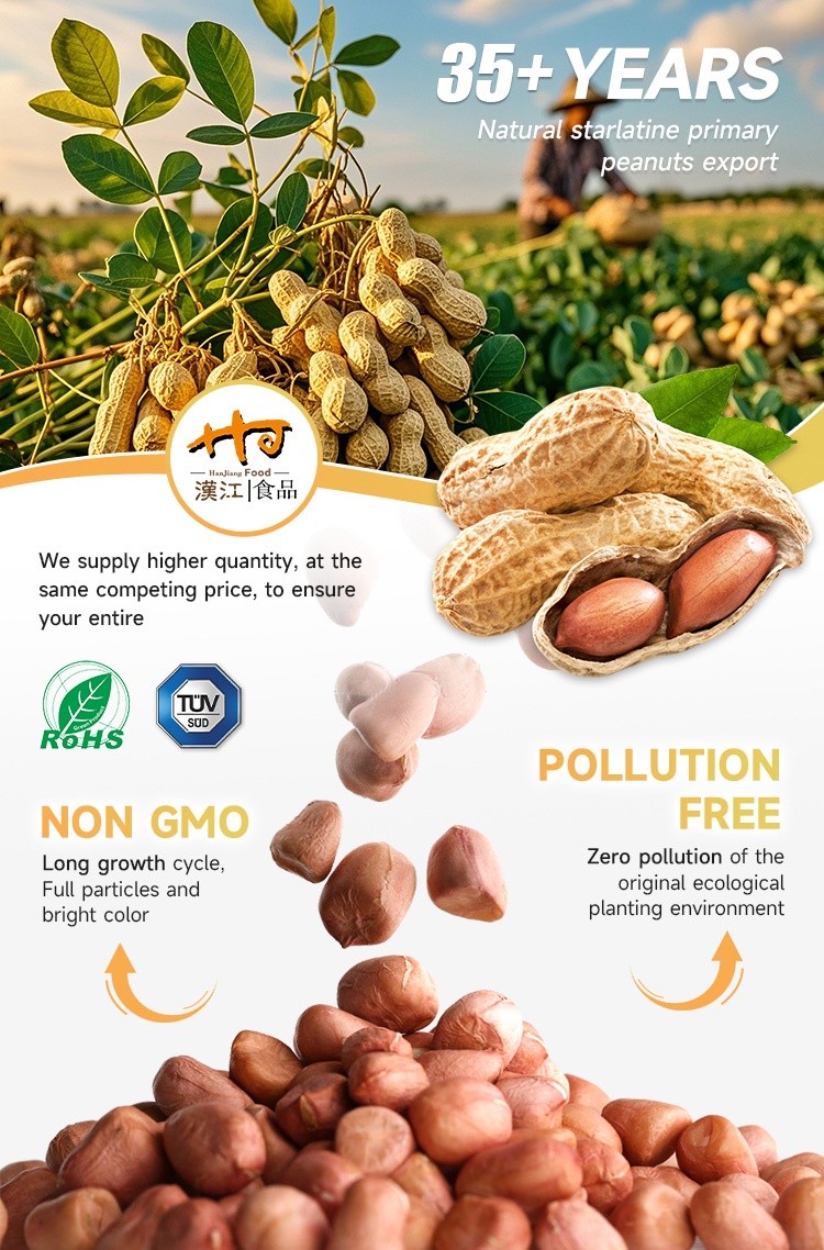 Peanut Kernel (1)