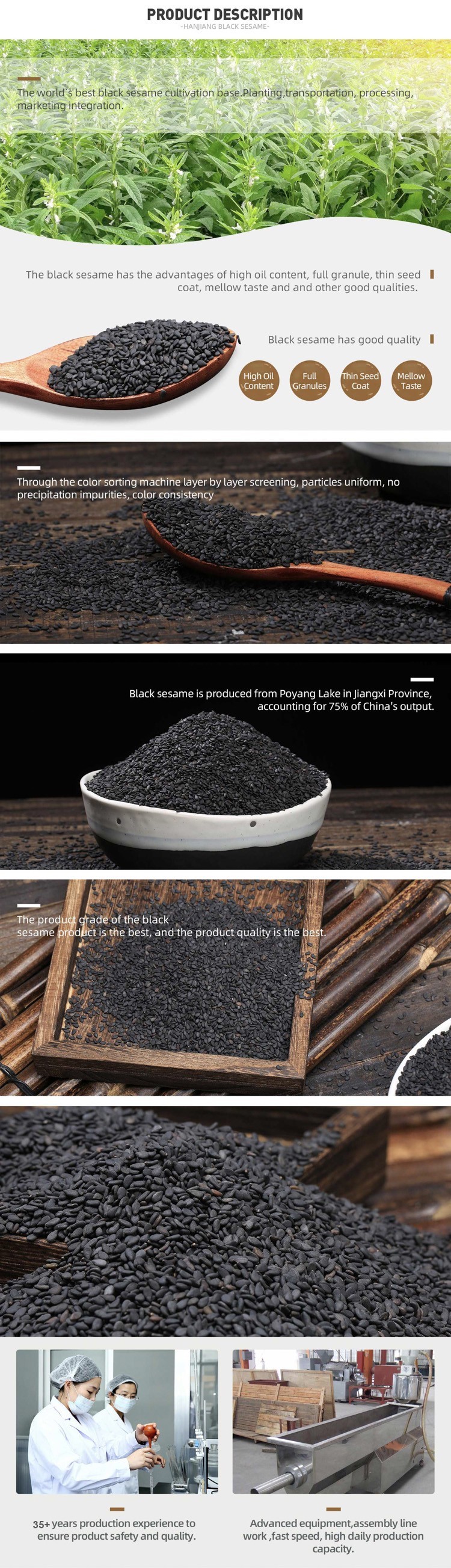 Black Sesame (2) Black Sesame (2)