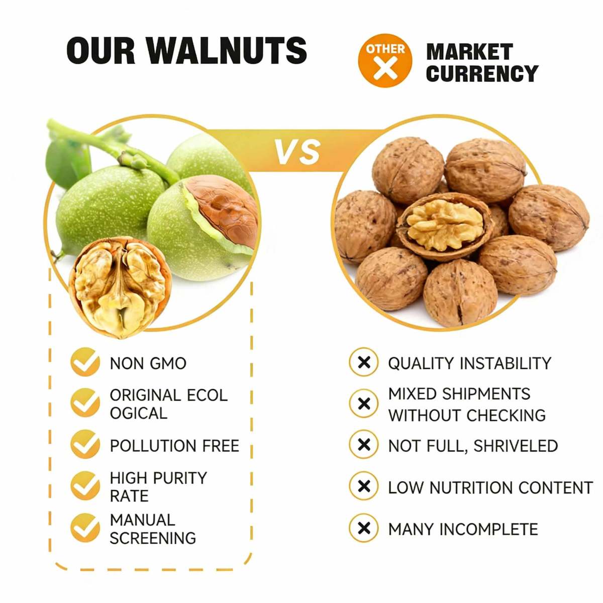 Walnut kernel (2) Walnut kernel (2)