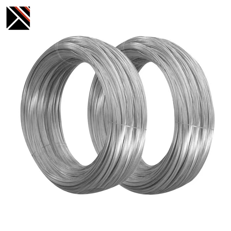 DX51D+Z Galvanized Steel Wire
