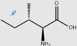 L-Isoleucina