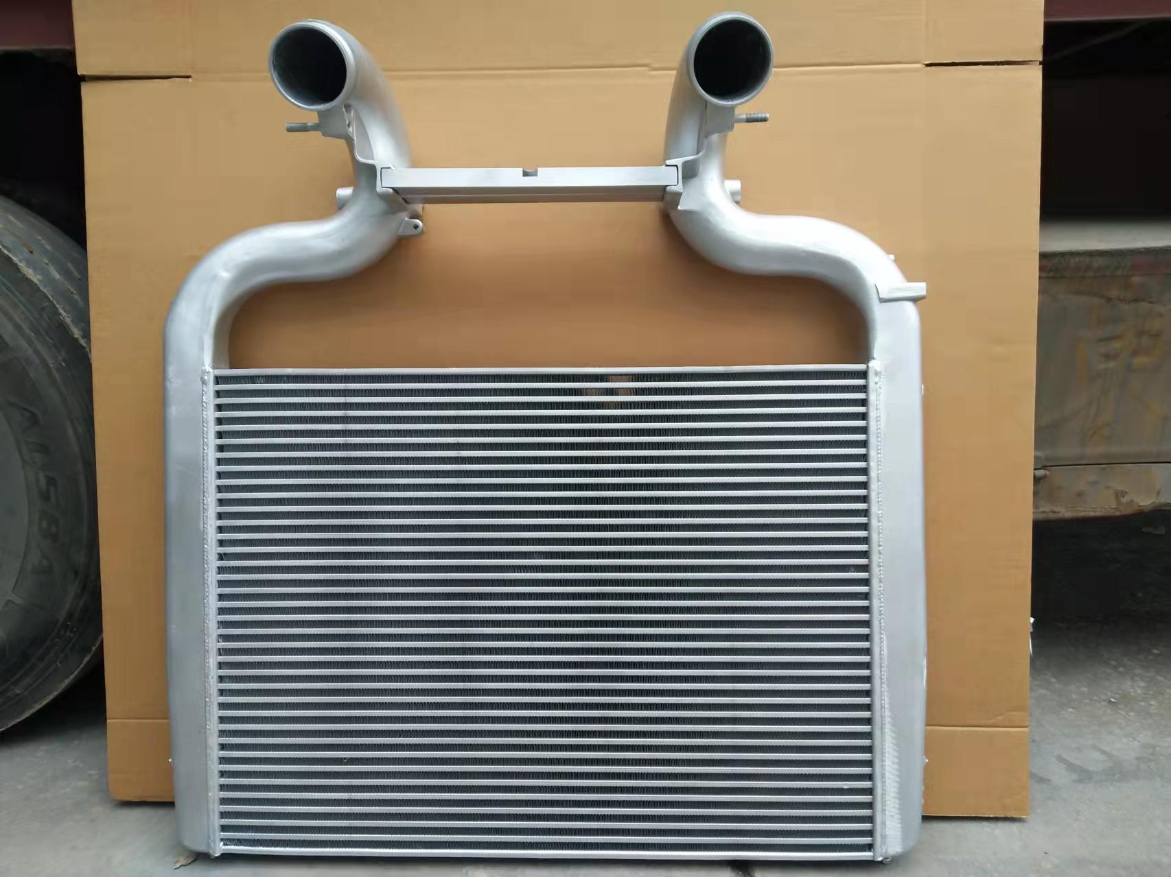 INTERCOOLER XD70101 PARA DAF