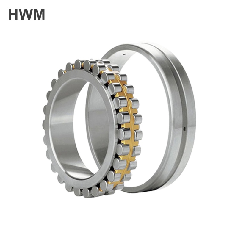 Double Row Cylindrical Roller Bearings