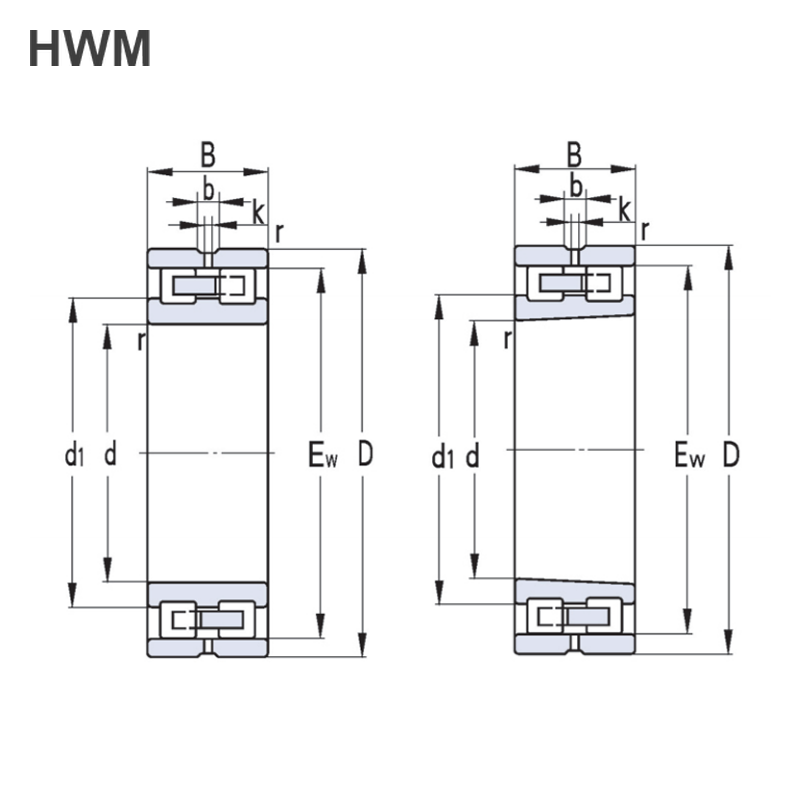 Double Row Cylindrical Roller Bearings