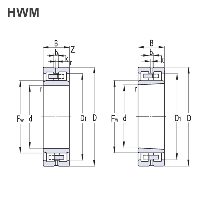 Double Row Cylindrical Roller Bearings
