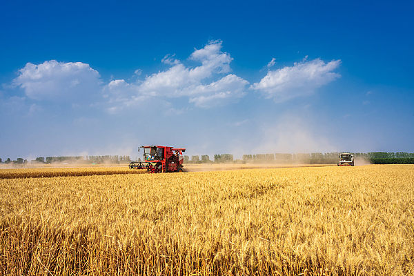 Agricultural Chemicals