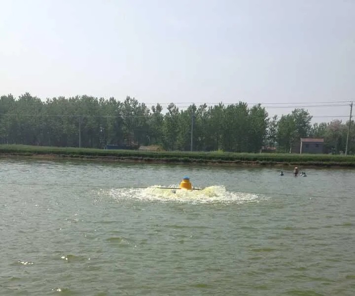 1776590853904421351894753280.webp Aquaculture Equipment Impeller Pond Aerator