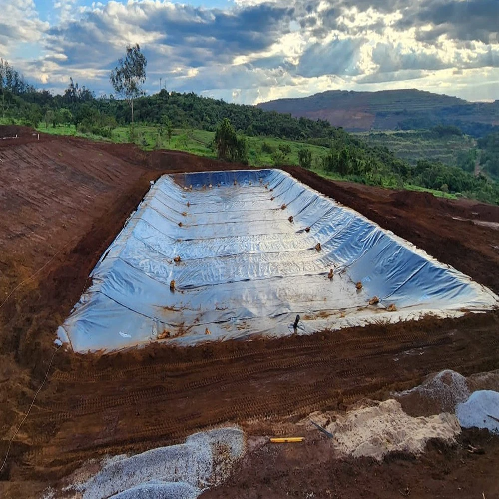 Hdpe /ldpe /lldpe Geomembrane/pond Liner Hdpe Geomembranas Hdpe Smooth Fish Farm
