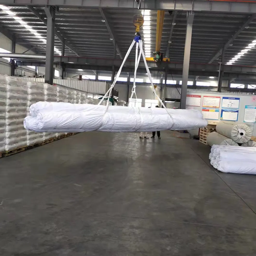 HDPE LDPE 1mm to 2mm Dam Fish Farm hdpe pond liner