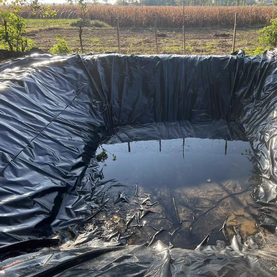 0.3mm to 2mm Fish Farming Pond Liner HDPE EPDM PE Geomembrane