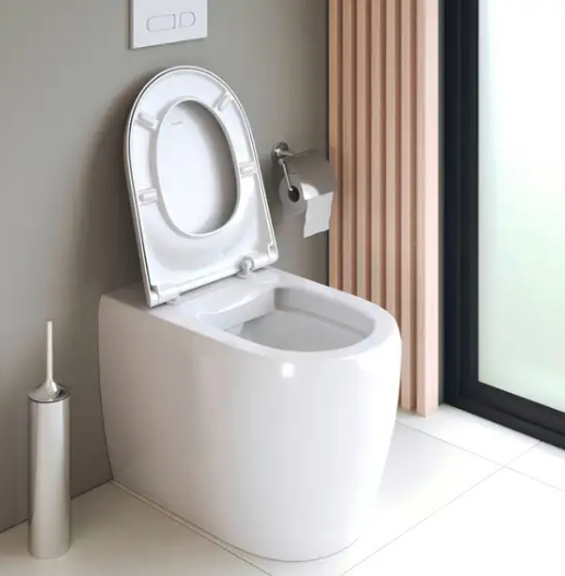Rimless toilets