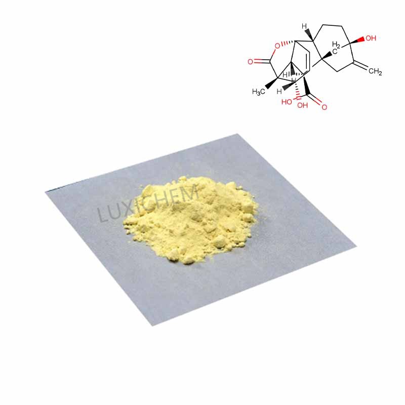 Ginkgo biloba extract CAS#90045-36-6