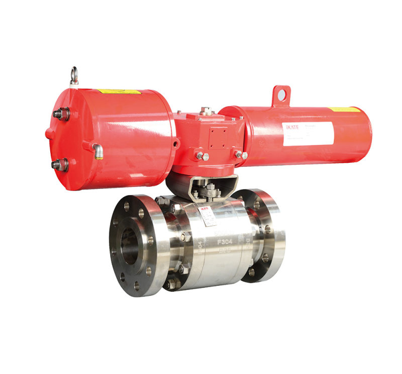 Forged Steel Fixed Ball Valve