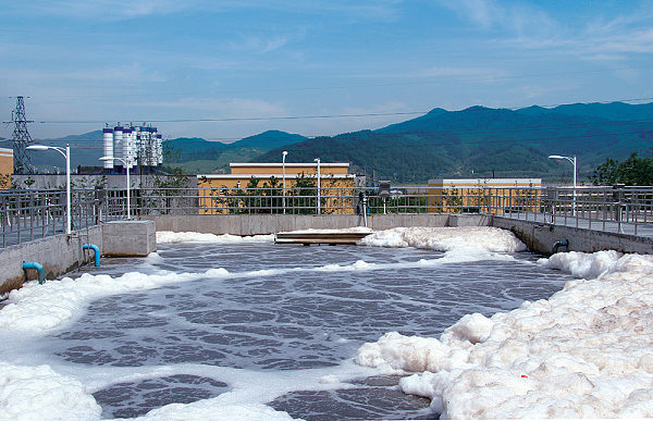 Municipal Environmental Protection