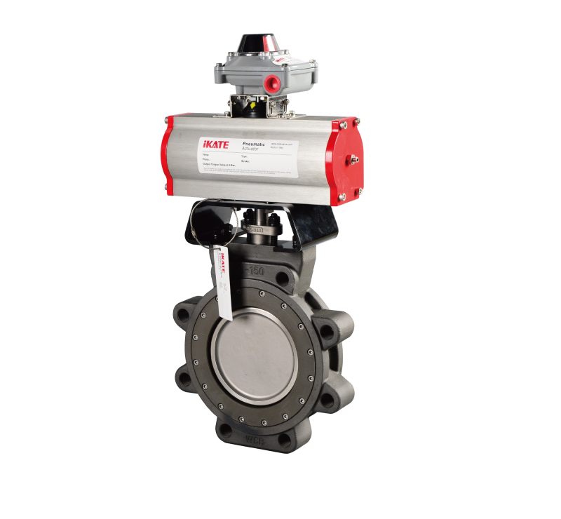 Double Eccentric Butterfly Valve