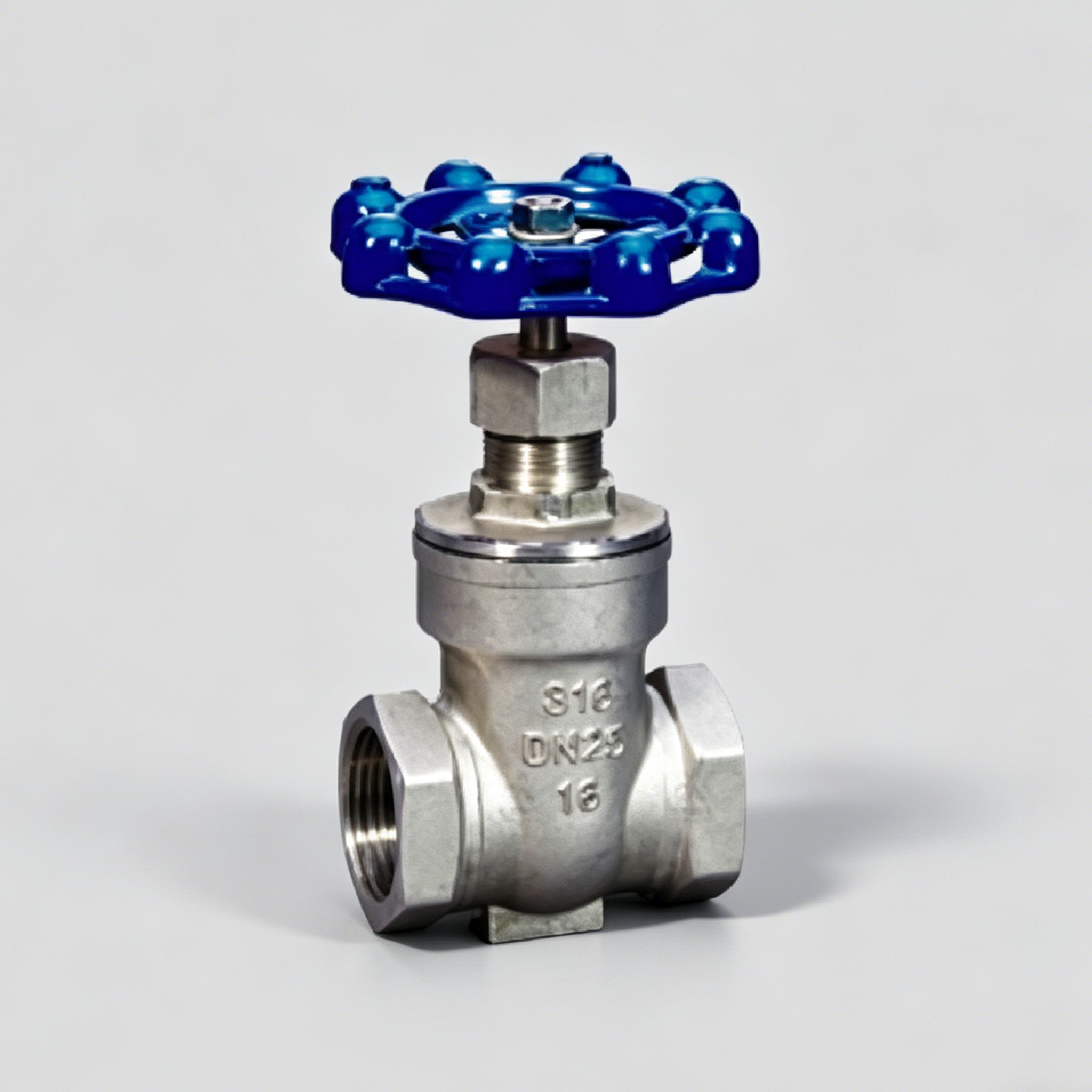 Stainless Steel Threaded Gate Valve