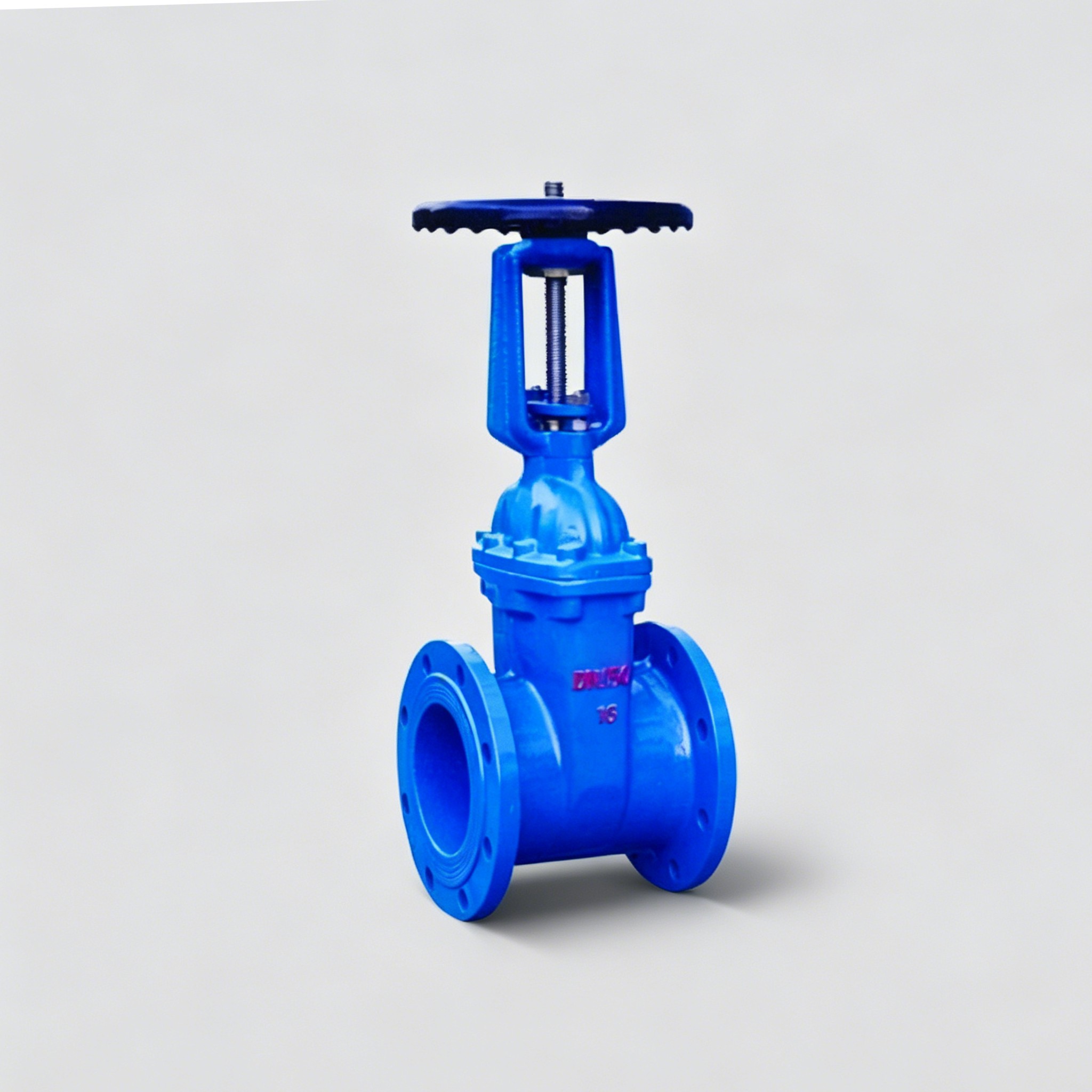 Rising Stem Soft Seal Gate Valve