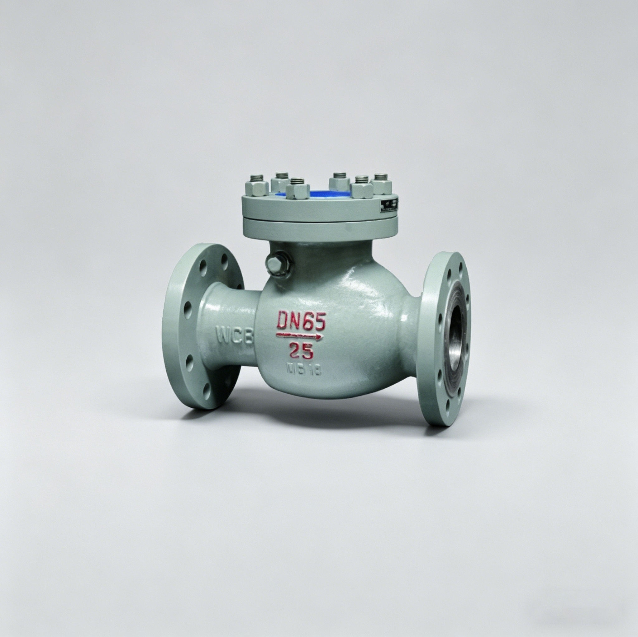 Cast Steel Swing Check Valve