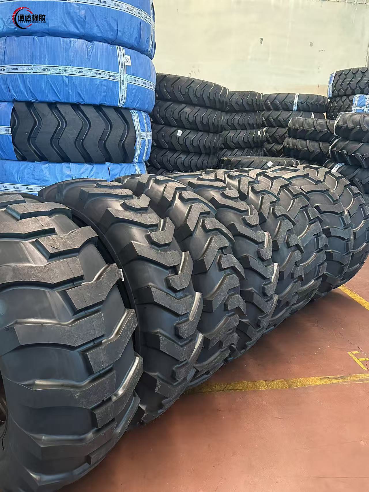 Production Upgrade & New Product Launch | Boosted Capacity to Meet Peak Season Global Demand