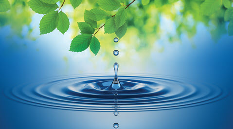 Sustainability Assessment