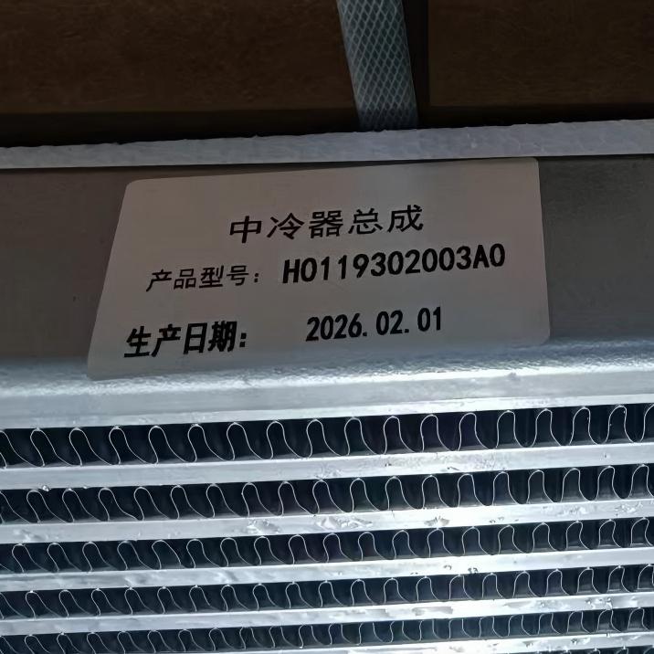 Intercooler FOTON H0119302003A0 Heavy Duty Engine Air Intercooler Assembly for FOTON AUMAN Truck