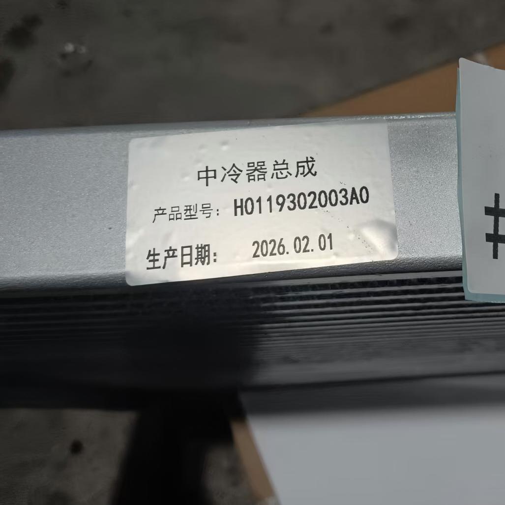 Intercooler FOTON H0119302003A0 Heavy Duty Engine Air Intercooler Assembly for FOTON AUMAN Truck