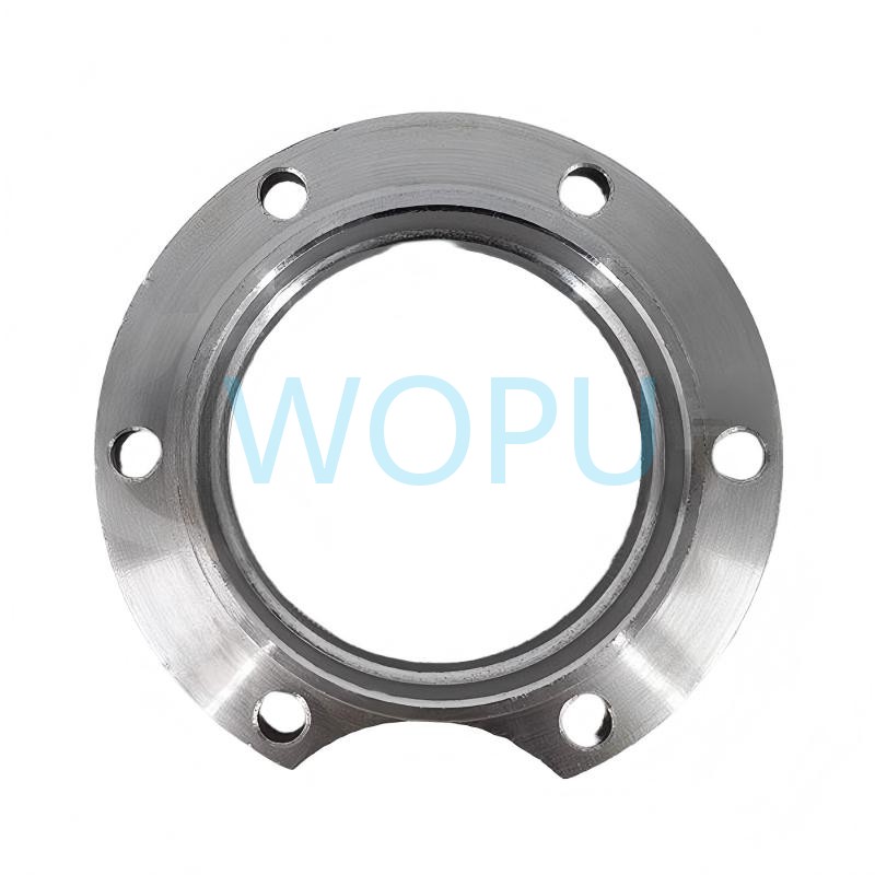 199014320141 Through Shaft Oil Seal Seat for Sinotruk Steyr Axle System