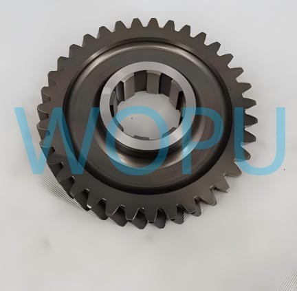 FK011 (1)