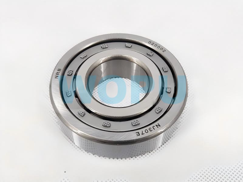 42307E / N307E2 FAST Gearbox Transmission Bearing for SINOTRUK Heavy Duty Trucks