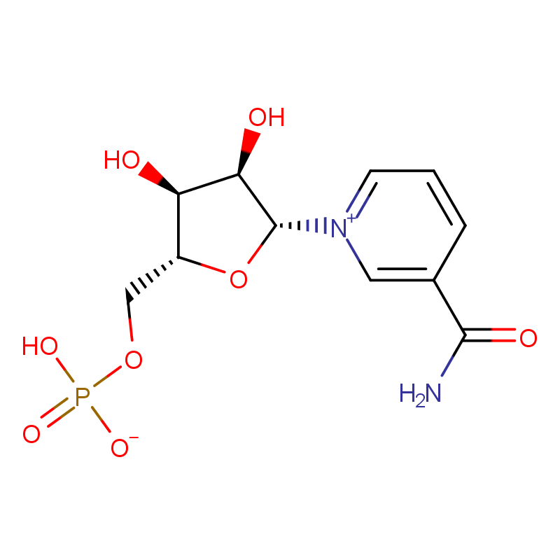 Nicotinamide mononucleotide CAS#1094-61-7