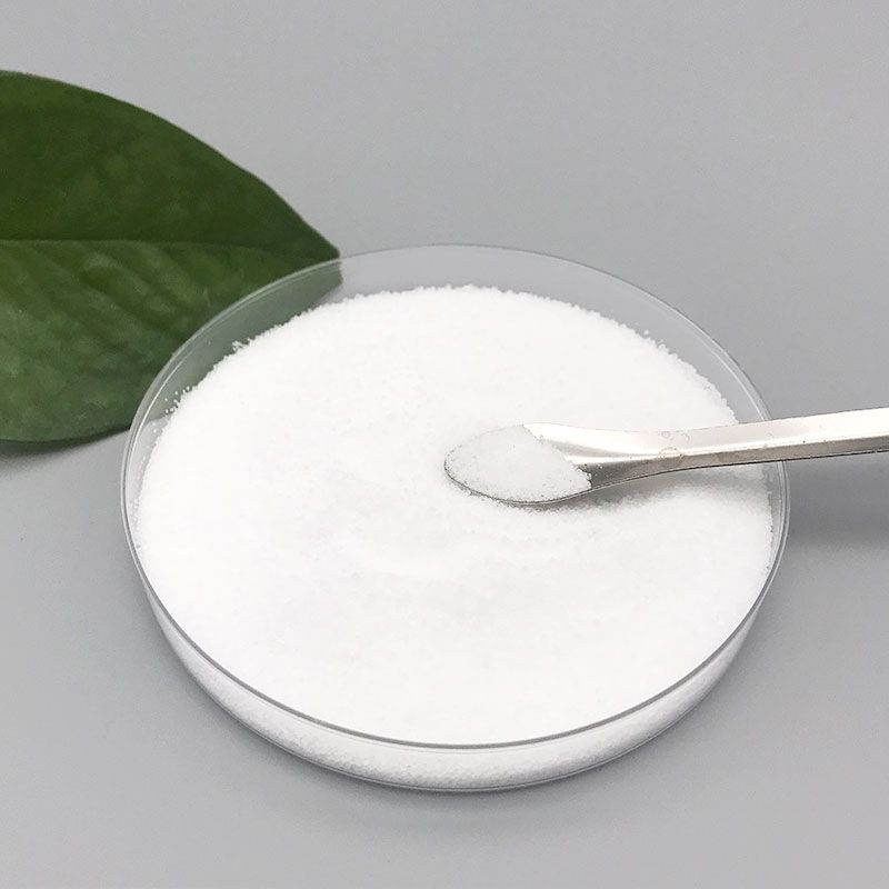Polyvinyl chloride CAS#9002-86-2 Polyvinyl chloride CAS#9002-86-2